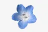 Profile picture of madie's archives