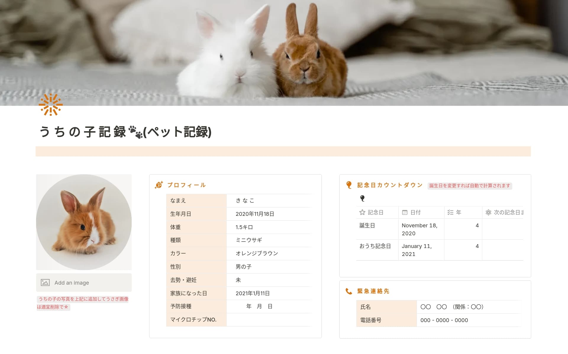 Notionによるペットも家族の一員コレクションのスクリーンショット